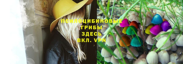 МДПВ Белокуриха