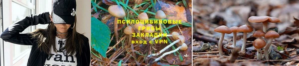 мяу мяу кристалл Белоозёрский