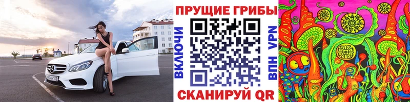 Псилоцибиновые грибы прущие грибы мега как войти Верхняя Пышма