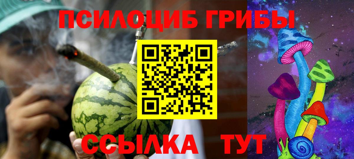 Псилоцибиновые грибы Cubensis Верхняя Пышма