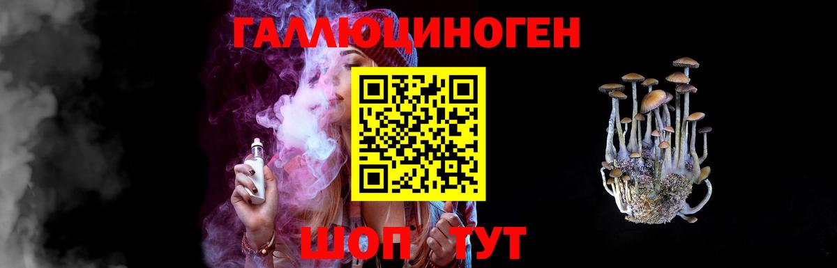 Верхняя Пышма  Псилоцибиновые грибы MAGIC MUSHROOMS  Вход с VPN 